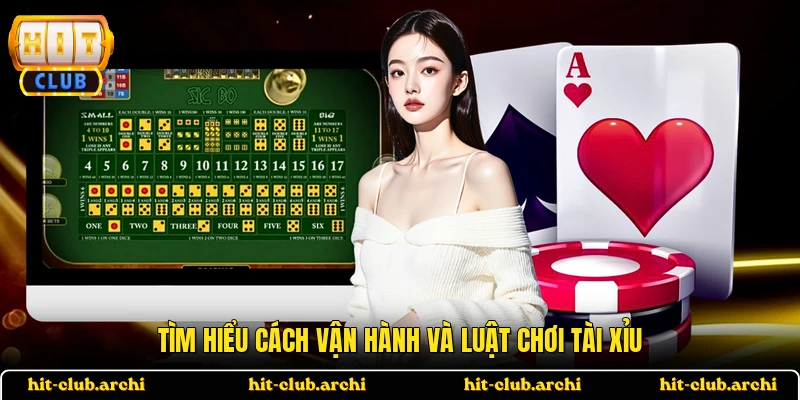 Tìm hiểu cách vận hành và luật chơi tài xỉu